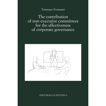 The contribution of non-executive committees for the effectiveness of corporate governance