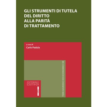 Gli strumenti di tutela del diritto alla parità di trattamento