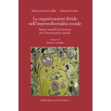 Le organizzazioni ibride nell'imprenditorialità sociale. Nuovi modelli di business per l'innovazione sociale