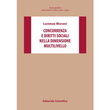 Concorrenza e diritti sociali nella dimensione multilivello