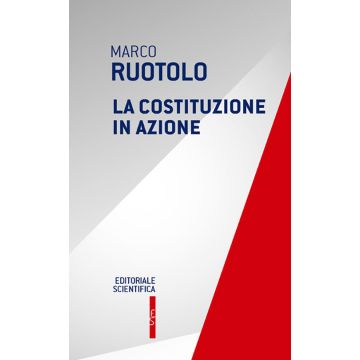 La Costituzione in azione