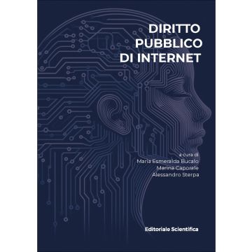 Diritto pubblico di Internet