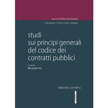 Studi sui principi generali del Codice dei contratti pubblici