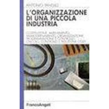 L' Organizzazione Di Una Piccola Industria 