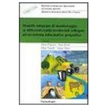 Modello Integrato Di Monitoraggio Su Differenti Realta' Territoriali Collegate Ad Un Sistema Informativo Geografico. Con Cd-rom - Fracasso; Rosetti; Vianello; Vitturi - Franco Angeli - 9788846439222