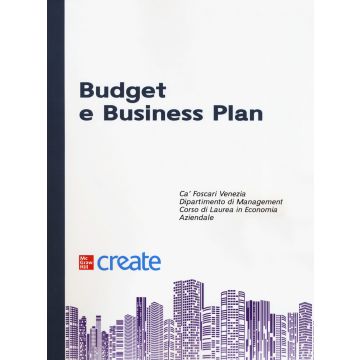 Budget e business plan