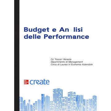 Budget e analisi delle performance