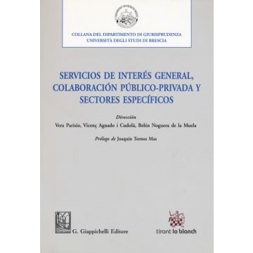 Servicios de interés general, colaboración público-privada y sectores específicos