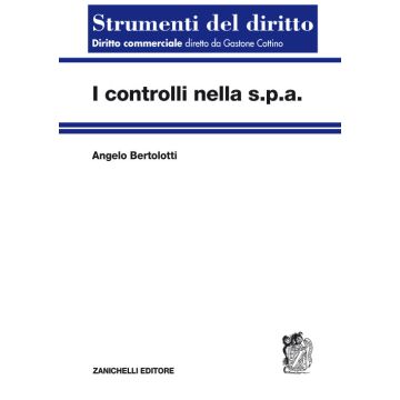 I controlli nella s.p.a.