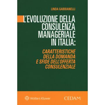 L'evoluzione della consulenza manageriale in Italia. Caratteristiche della domanda e sfide dell'offerta consulenziale