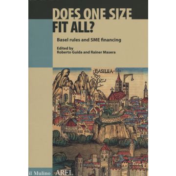Does one size fit all? Basel rules and SME financing