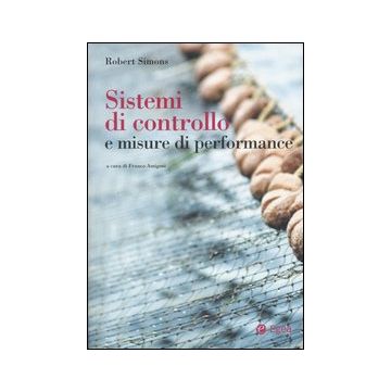 Sistemi di controllo e misure di performance