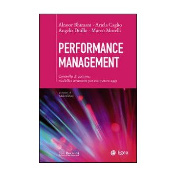 Performance management. Controllo di gestione: modelli e strumenti per competere oggi