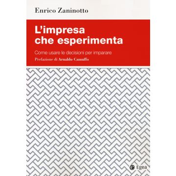 L'impresa che esperimenta. Come usare le decisioni per imparare