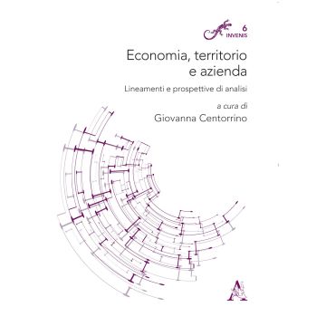Economia, territorio e azienda. Lineamenti e prospettive di analisi