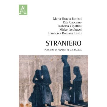 Straniero. Percorsi di analisi in sociologia