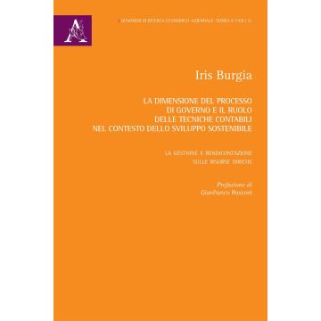 La dimensione del processo di governo e il ruolo delle tecniche contabili nel contesto dello sviluppo sostenibile. La gestione e rendicontazione sulle risorse idriche
