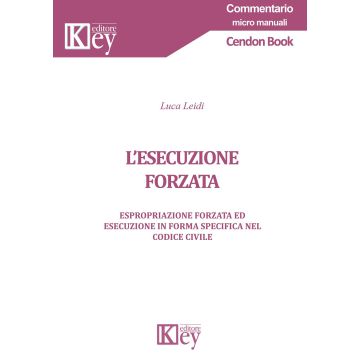 L'esecuzione forzata. Espropriazione forzata ed esecuzione in forma specifica nel codice civile