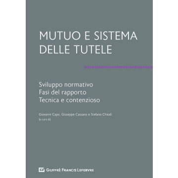 Mutuo e sistema delle tutele. Sviluppo normativo, fasi del rapporto, tecnica e contenzioso
