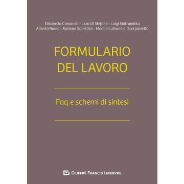 Formulario del Lavoro. Faq e schemi di sintesi