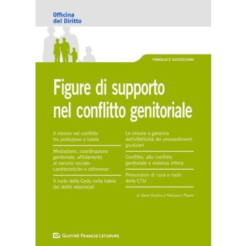 Figure di supporto nel conflitto genitoriale