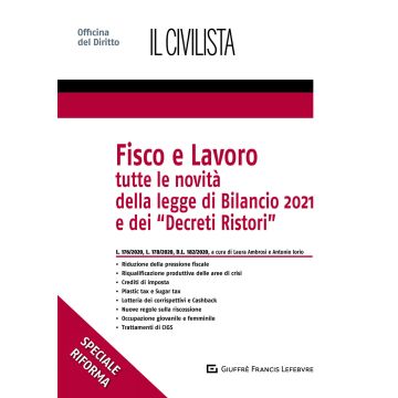 Fisco e lavoro. Tutte le novità della Legge di bilancio 2021 e dei «Decreti Ristori»