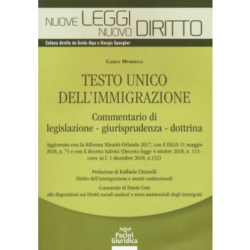 Testo unico dell'immigrazione
