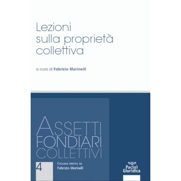 Lezioni sulla proprietà collettiva