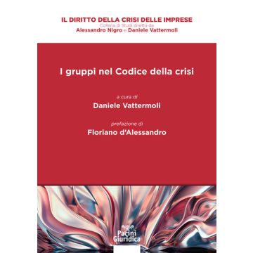 I gruppi nel codice della crisi