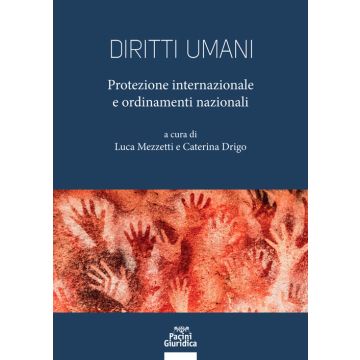 Diritti umani. Protezione internazionale e ordinamenti nazionali