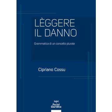 Leggere il danno. Grammatica di un concetto plurale