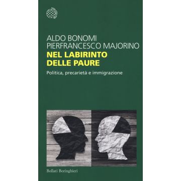Nel labirinto delle paure. Politica, precarietà e immigrazione