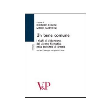 Un bene comune. I rischi di abbandono del sistema formativo nella provincia. Atti del Convegno (Brescia, 17 gennaio 2008)