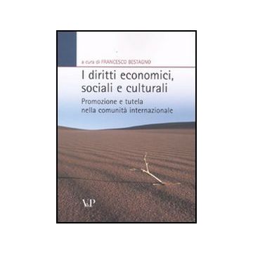 I diritti economici, sociali e culturali. Promozione e tutela nella comunità internazionale