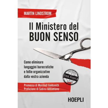 Il Ministero del buon senso. Come eliminare lungaggini burocratiche e follie organizzative dalla vostra azienda