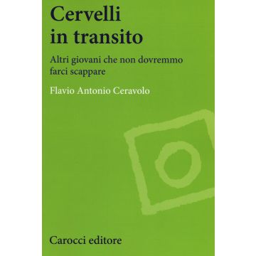 Cervelli in transito. Altri giovani che non dovranno farci scappare