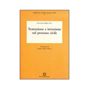 Trattazione e istruzione nel processo civile