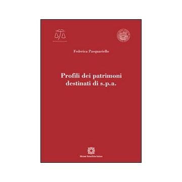 Profili dei patrimoni destinati di s.p.a.