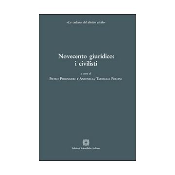 Novecento giuridico. I civilisti