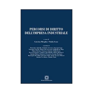 Percorsi di diritto dell'impresa industriale