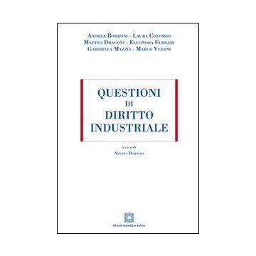 Questioni di diritto industriale