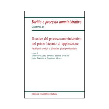 Il codice del processo amministrativo nel primo biennio di applicazione