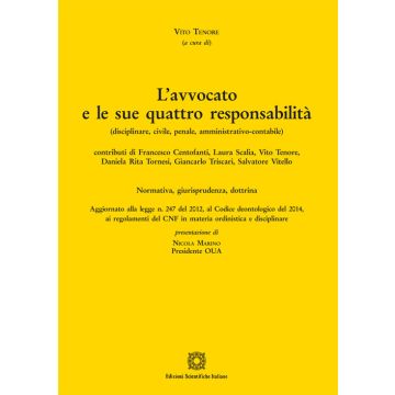 L'avvocato e le sue quattro responsabilità