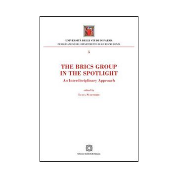 The Brics Group in the sportlight. An interdisciplinary approach