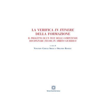 La verifica in itinere della formazione
