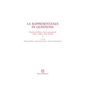 La rappresentanza in questione 