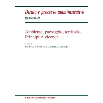 Ambiente, paesaggio, territorio. Principi e vicende