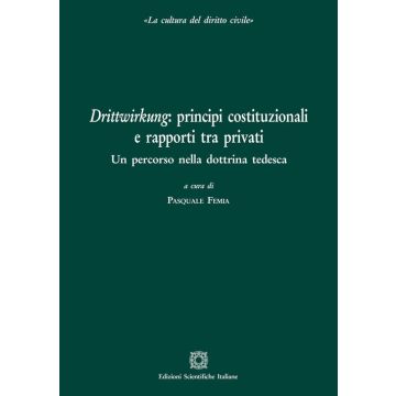 Drittwirkung: principi costituzionali e rapporti tra privati. Un percorso nella dottrina tedesca
