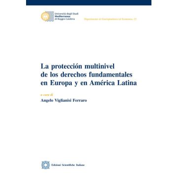 La protección multinivel de los derechos fundamentales en Europa y en América Latina