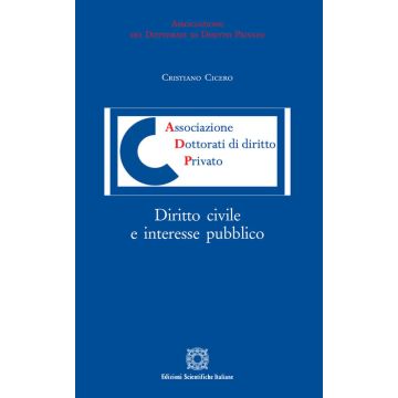 Diritto civile e interesse pubblico